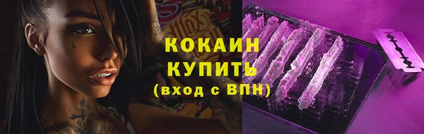тгк Белокуриха