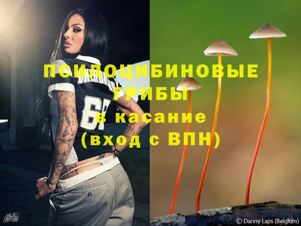тгк Белокуриха