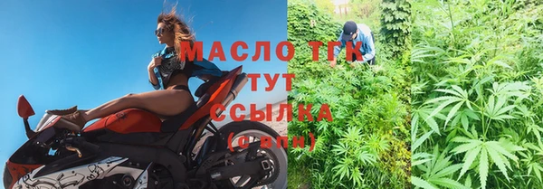 прущие грибы Кукмор