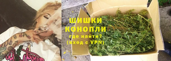 прущие грибы Кукмор